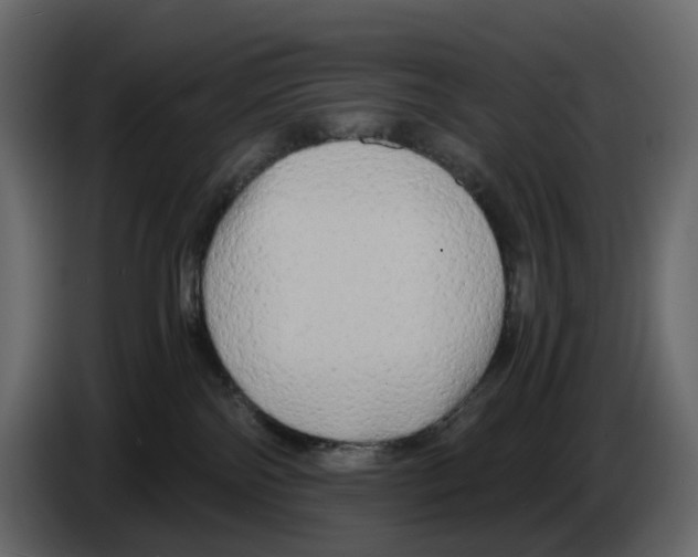 X0000084550138200703231744