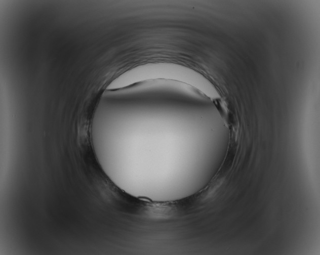 X0000084550141200703231744