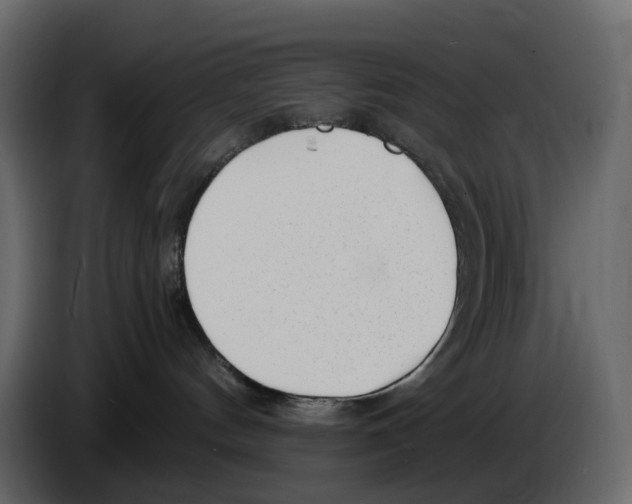 X0000084550144200703231744