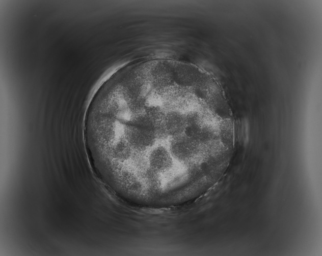 X0000084550147200703231744