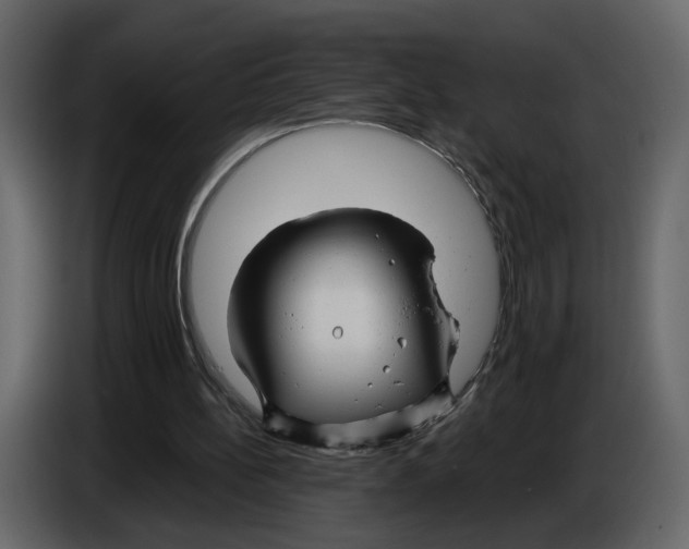 X0000084550148200703231744