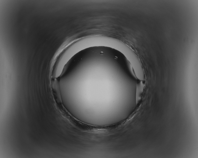 X0000084550150200703231744