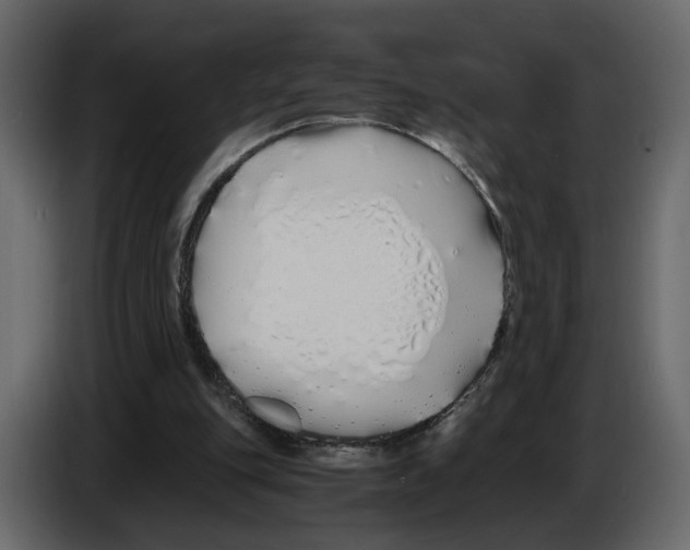 X0000084550151200703231744