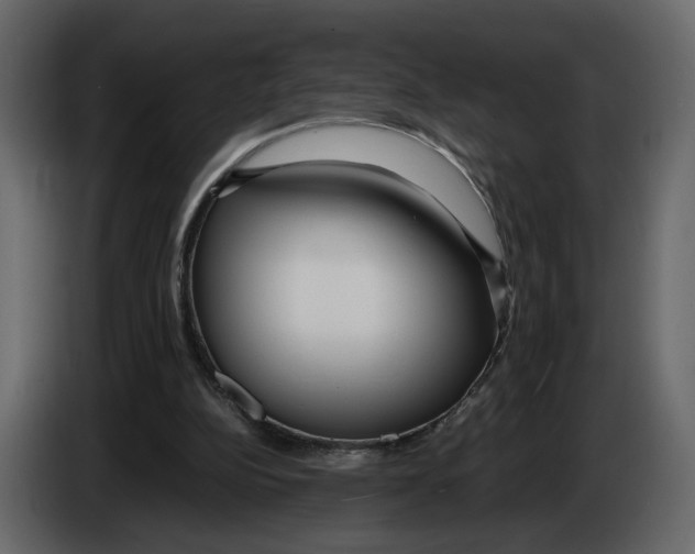 X0000084550152200703231744