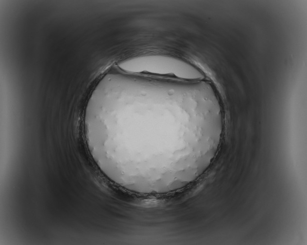 X0000084550153200703231744