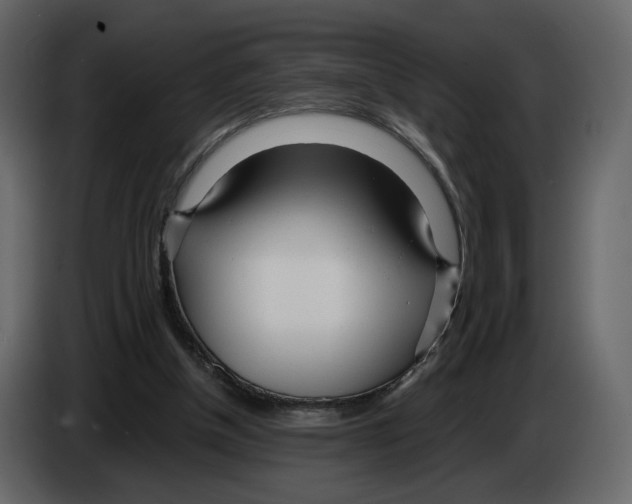 X0000084550154200703231744