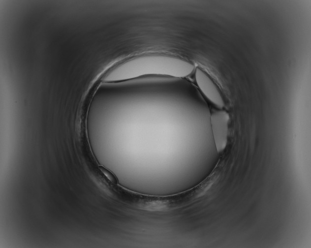 X0000084550156200703231744