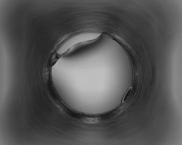 X0000084550160200703231744