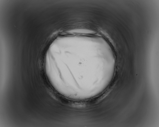 X0000084550161200703231744