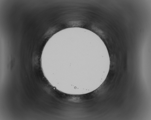 X0000084550162200703231744