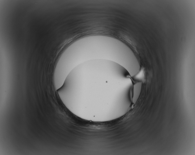 X0000084550164200703231744