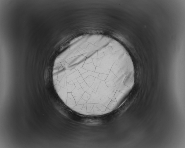 X0000084550165200703231744