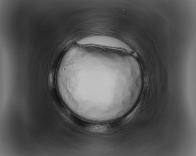 X0000084550166200703231744