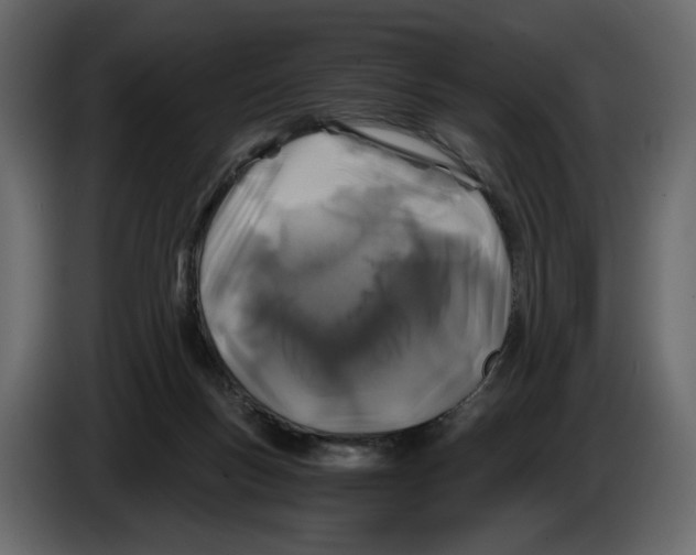 X0000084550167200703231744