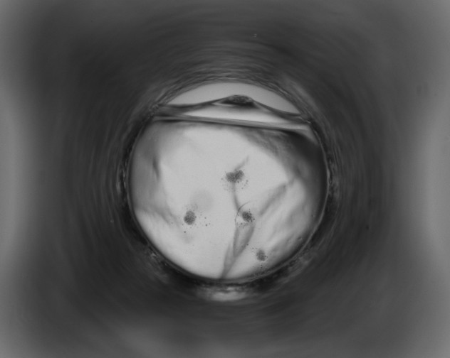 X0000084550169200703231744