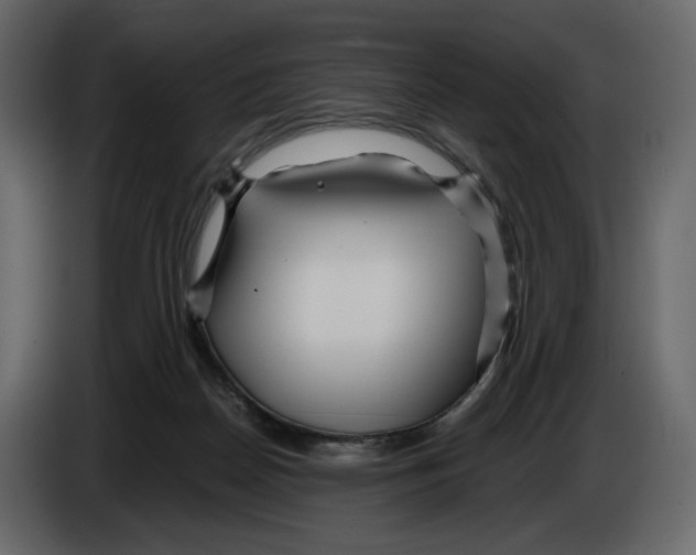 X0000084550170200703231744