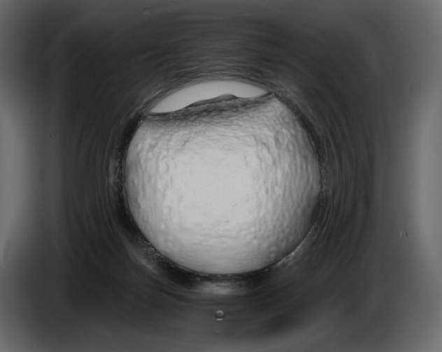 X0000084550171200703231744