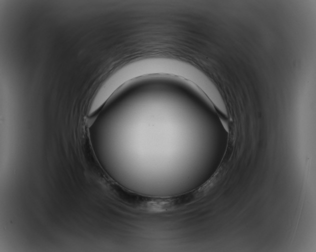 X0000084550172200703231744