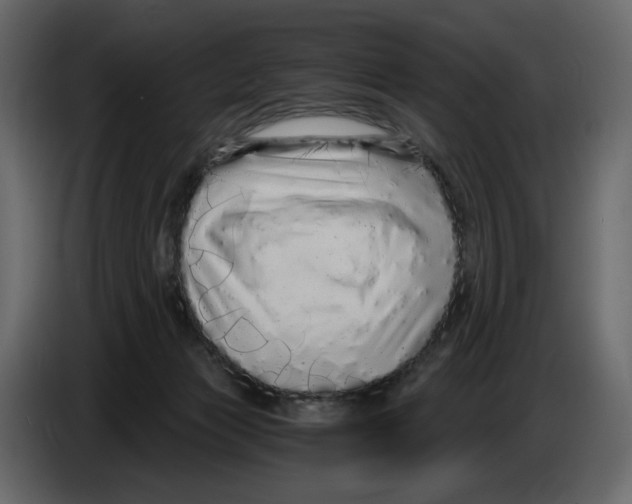 X0000084550173200703231744