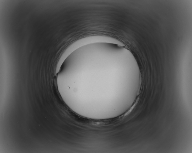 X0000084550174200703231744