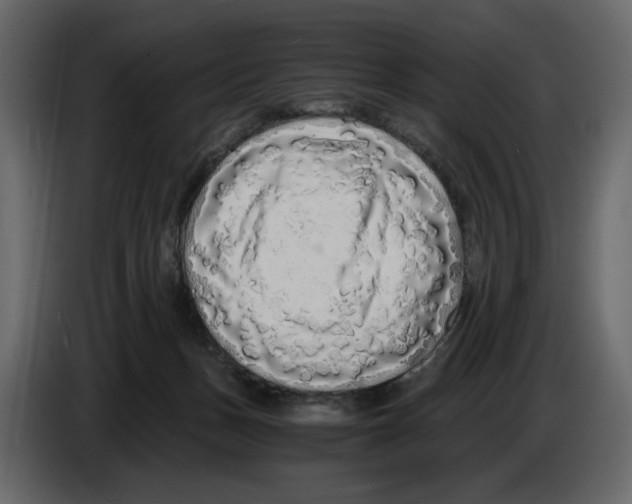 X0000084550175200703231744