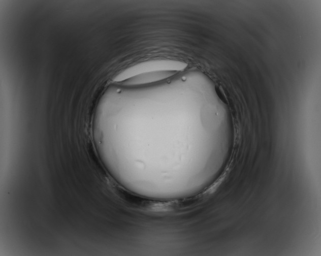 X0000084550178200703231744