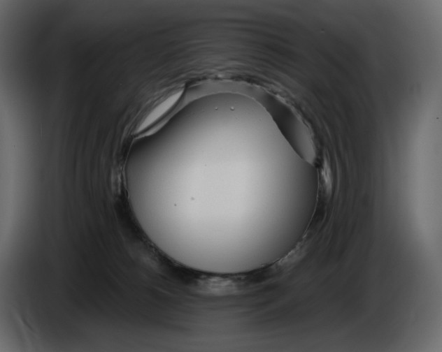 X0000084550180200703231744