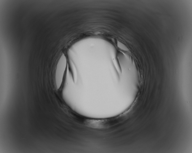 X0000084550182200703231744