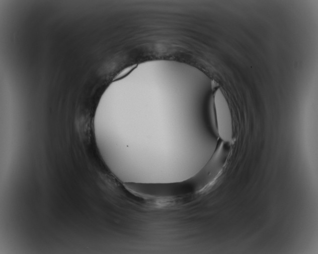 X0000084550184200703231744