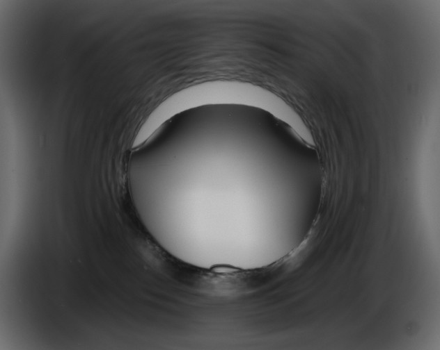 X0000084550186200703231744