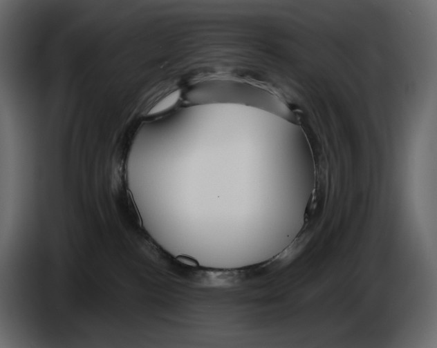 X0000084550188200703231744