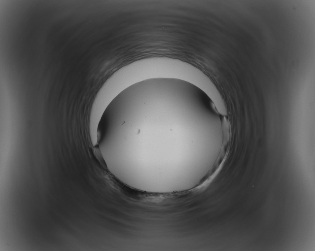 X0000084550190200703231744