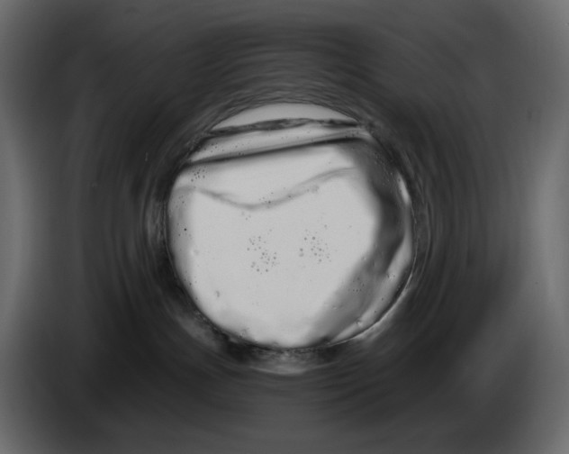 X0000084550191200703231744