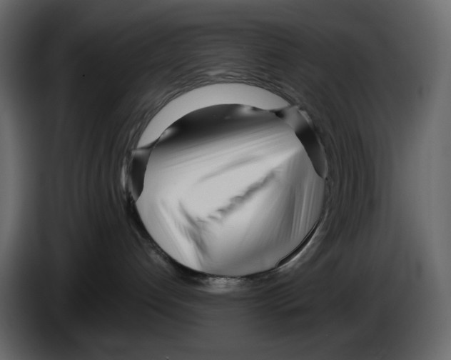 X0000084550192200703231744