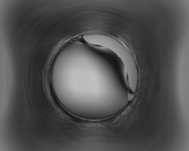 X0000084550193200703231744