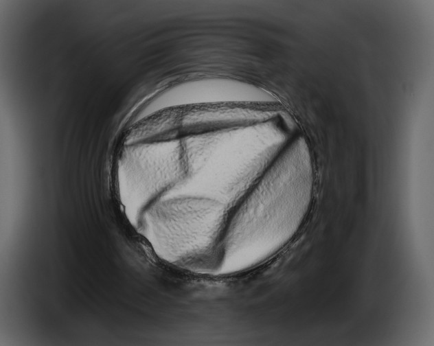 X0000084550194200703231744