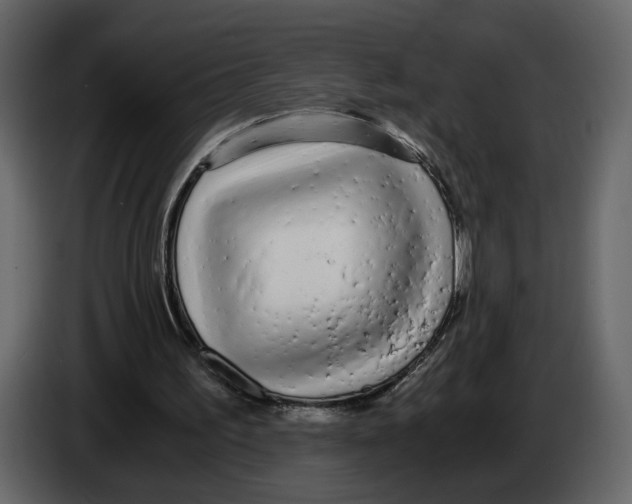 X0000084550195200703231744