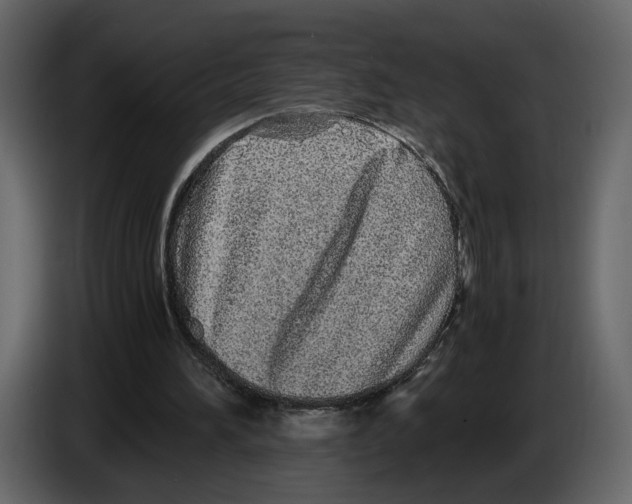 X0000084550196200703231744