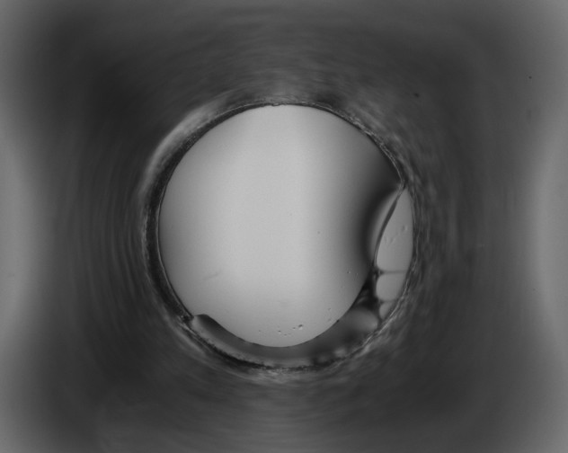 X0000084550197200703231744