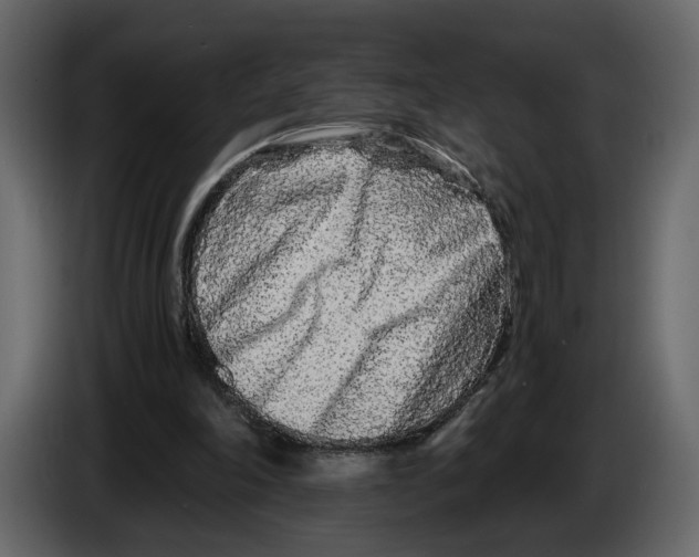 X0000084550198200703231744