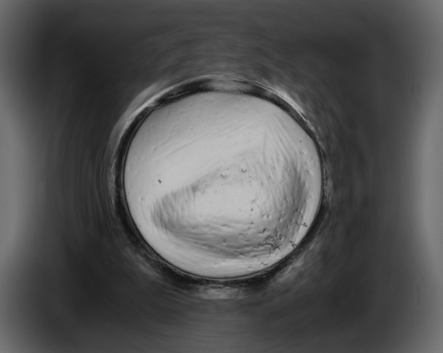 X0000084550199200703231744