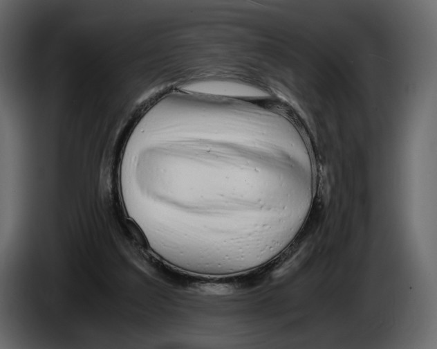 X0000084550203200703231744