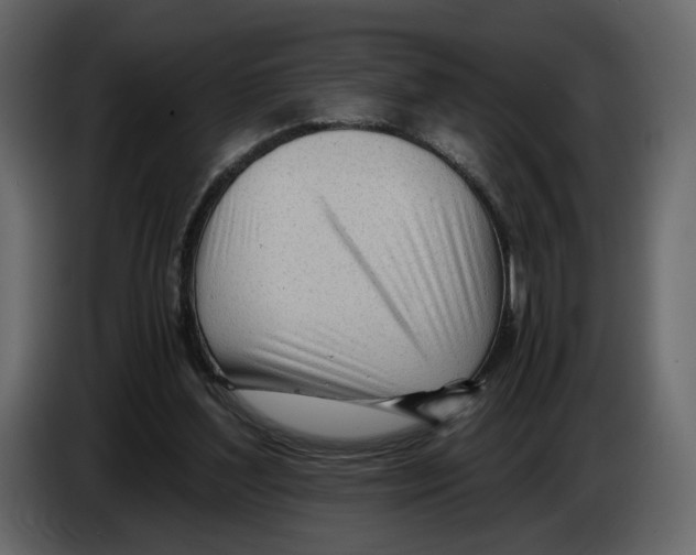 X0000084550204200703231744