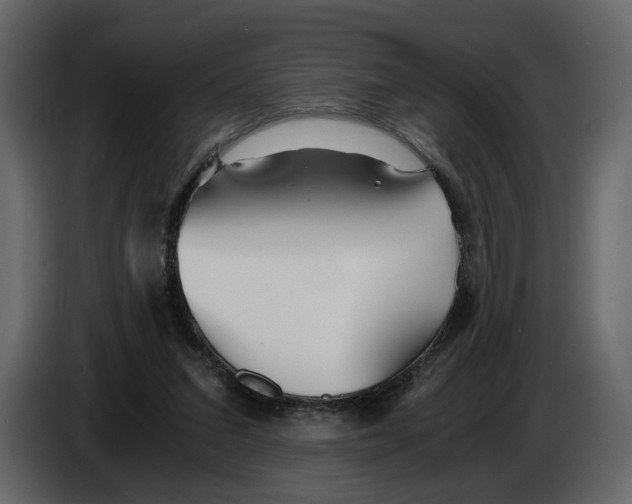 X0000084550207200703231743