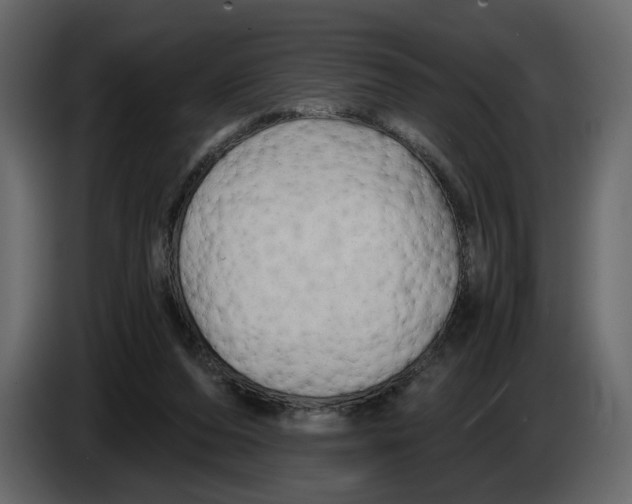 X0000084550208200703231743