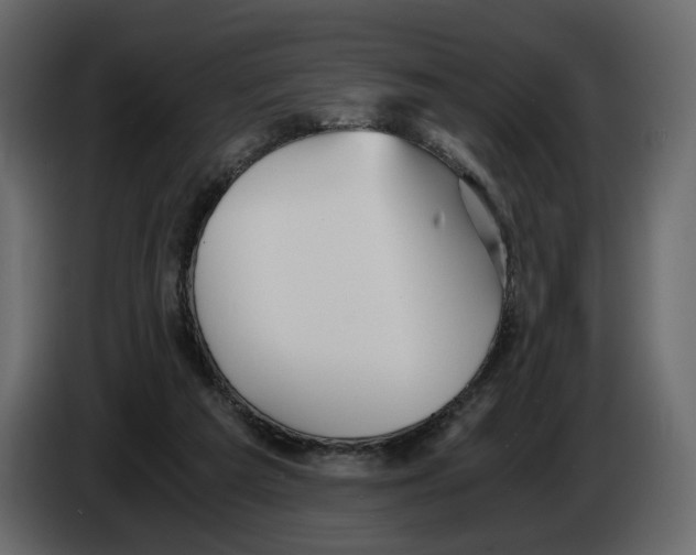 X0000084550209200703231743