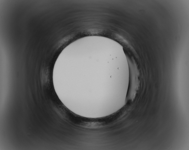 X0000084550212200703231743