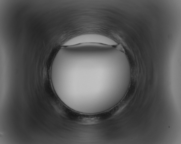 X0000084550213200703231743