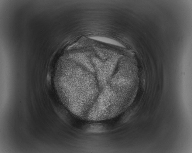 X0000084550214200703231743