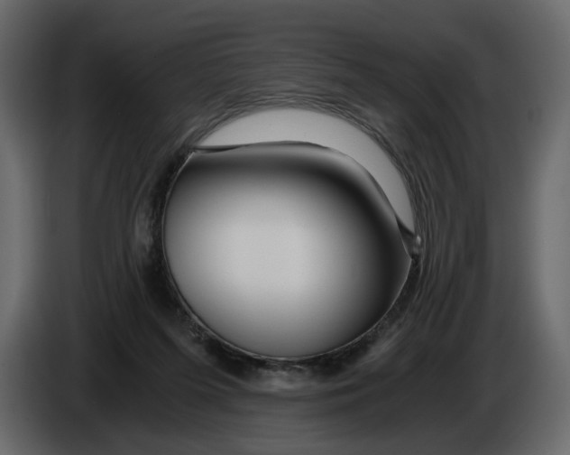 X0000084550215200703231743